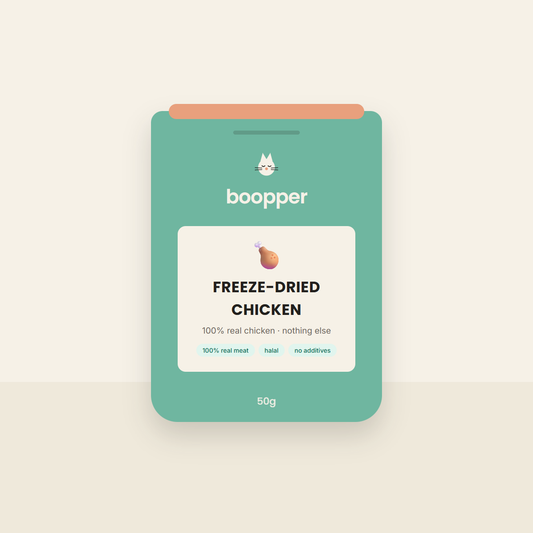 Boopper Freeze-Dried Chicken cat treats — sage pouch with coral seal