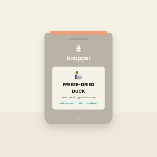 Boopper Freeze-Dried Duck cat treats — stone pouch