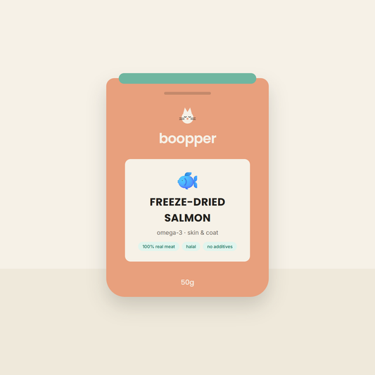 Boopper Freeze-Dried Salmon cat treats — coral pouch